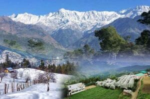 Gangtok Pelling Darjeeling Tour Package | 6N 7D Trip Draft