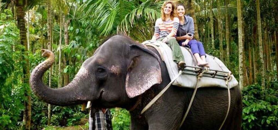 Elephant Ride