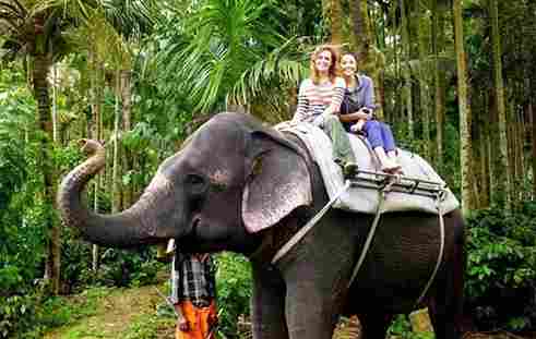 Elephant ride